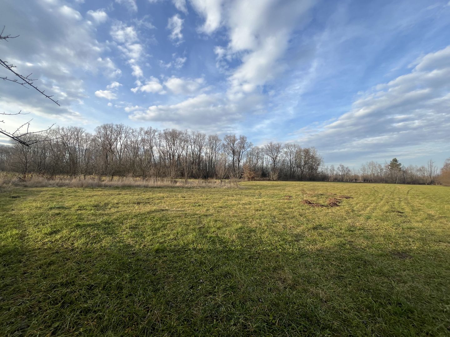 TEREN INTRAVILAN GENEROS | 72 ARI | GALANESTI - Poză 3