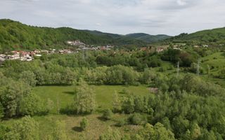 CASA 3 CAMERE, TEREN 6200 MP + 2 LACURI, CAMPULUNG, NAMAIESTI - Poză 26