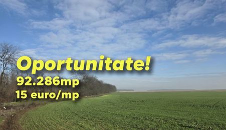 FUNDENi-Oportunitate Majoră de Investiție: 92 286mp - PRET IMBATABIL!