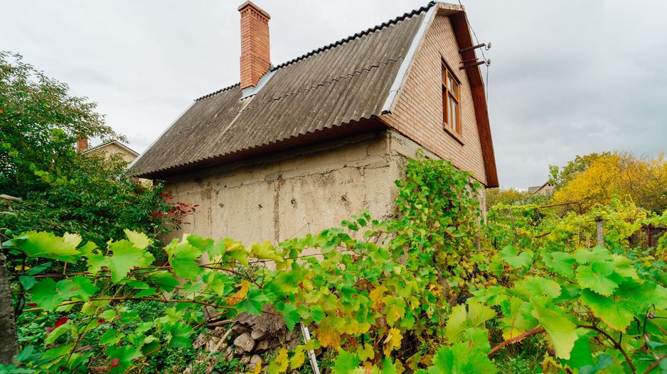Lot pomicol de 6 ari în Ialoveni, cu construcție auxiliară. - Poză 13