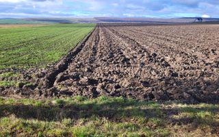 Teren 36 Ari | Mitocu Dragomirnei | 25.500 € - Poză 2