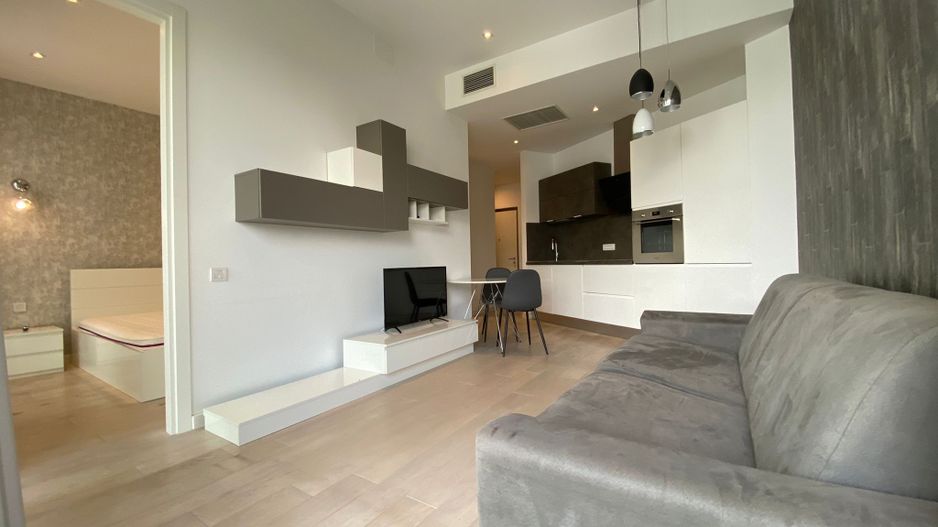 Apartament 2 camere One Herăstrău Park – Eleganță și confort - Poză 8