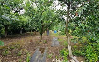 Casa 4 camere, S+P+1, semifinisata, 1424 mp teren, Oarda de Jos - Poză 3