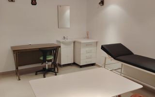 Spațiu de închiriat | Central Sibiu | 111 mpu | Curte proprie - Poză 7