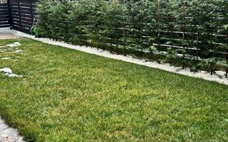 Family Market Miroslava–Casa P+E, 232 mp teren,3 dormitoare,2 băi,mobilată - Poză 11