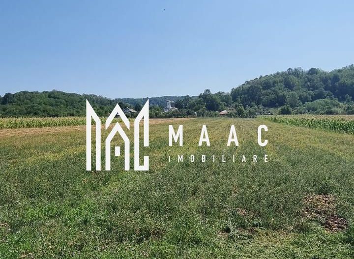 CASA LADESTI-VALCEA| RENOVATA SI MOBILATA| 5000 MP TEREN - Poză 16