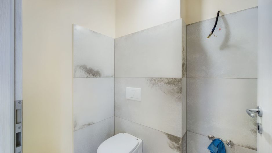 Casă înșiruită la cheie Aradul Nou - Poză 10