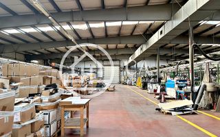 Hală de închiriat în zona industrială Santion, Bihor - Poză 3