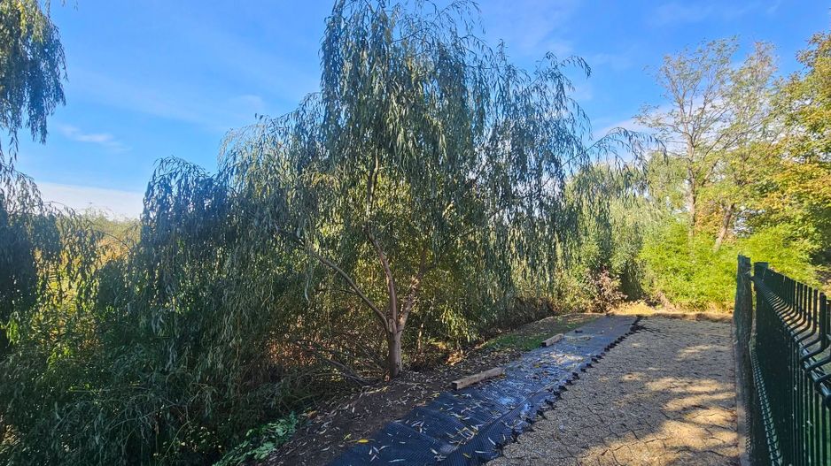 Casă și teren mare, cu ieșire la lac, lângă Mănăstirea Rebegești Crevedia - Poză 11