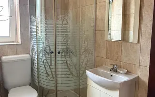 Proprietate premium de închiriat | Sanmartin | Bihor - Poză 16