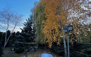 Casa individuala cu 5 camere si gradina in Colonia Sopor - Poză 16