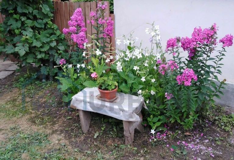 Casă cu 3 camere și teren 2100 mp, Trifești, județul Iași - Poză 3