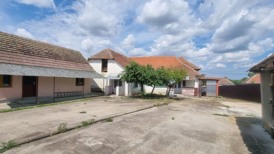 Casă 6 camere, livadă, 3 199 mp, Girisul Negru, Bihor. 42 000 E - Poză 3