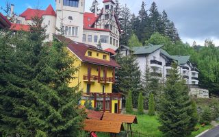 Casa ta de vacanta, imbratisata de natura,3 terase, parcare, Poiana Brasov - Poză 1