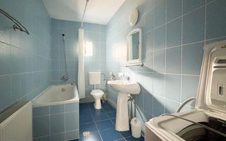 De Inchiriat Casa Individuala cu 3 camere, Garaj, Jucu de Mijloc - Poză 8