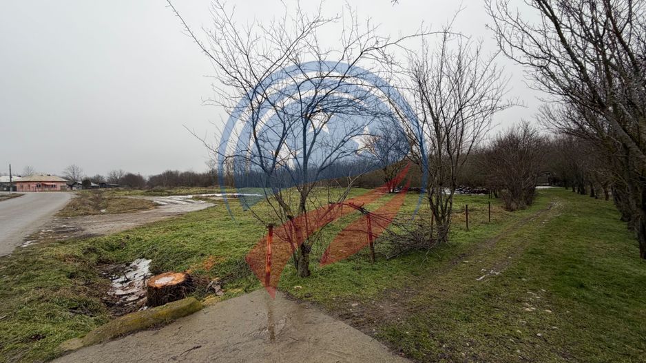 CASA CU TEREN 2500 MP LA 23 KM DE CRAIOVA CU TEAVA DE GAZE - Poză 3