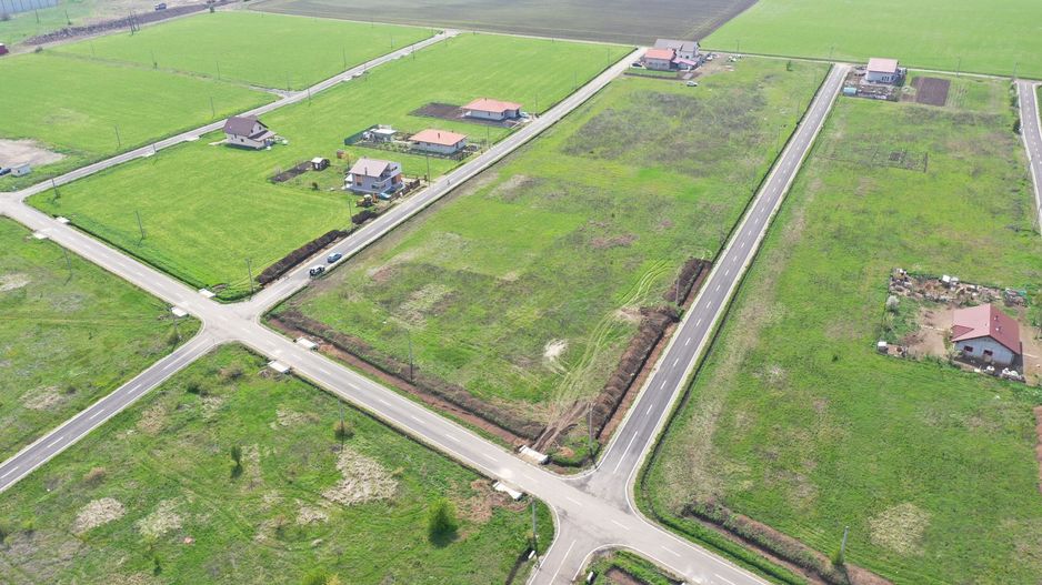 TEREN DUDESTII NOI - Poză 3