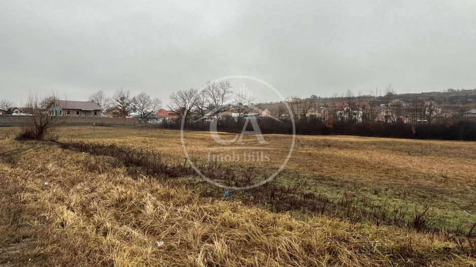 Teren intravilan de vanzare in Beiuș, Bihor - Poză 3