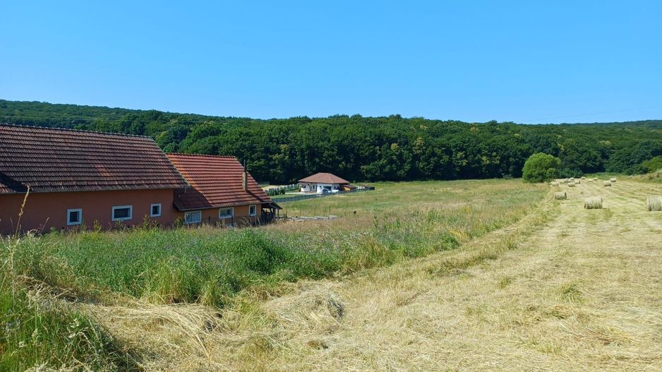 Teren intravilan - Corunca - Poză 1