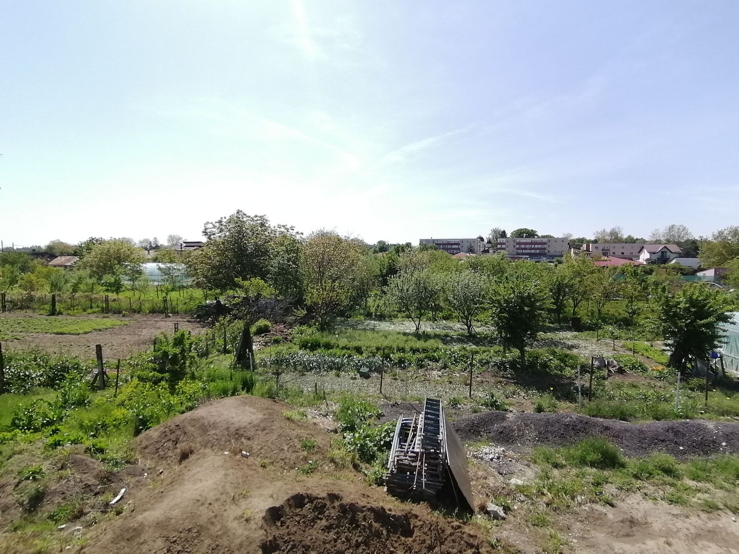 Casa P+1 in comuna 1 Decembrie - str. Victoriei - Poză 10