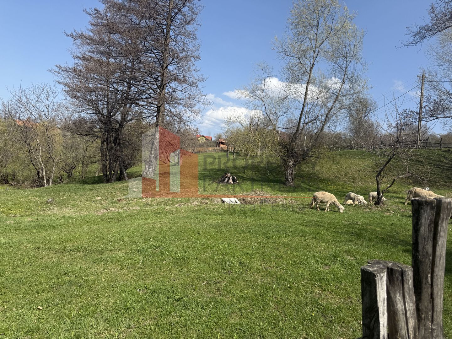 Teren de vânzare în Sohodol, comuna Bran – 4.289 mp - Poză 3
