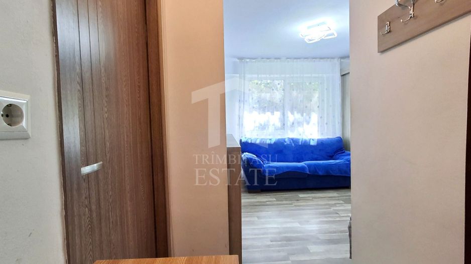 De Vanzare Garsoniera Teiul Doamnei zona Lacul Tei - Poză 15