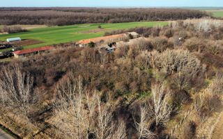 Ferma si livada de meri in judetul Ilfov - Poză 20