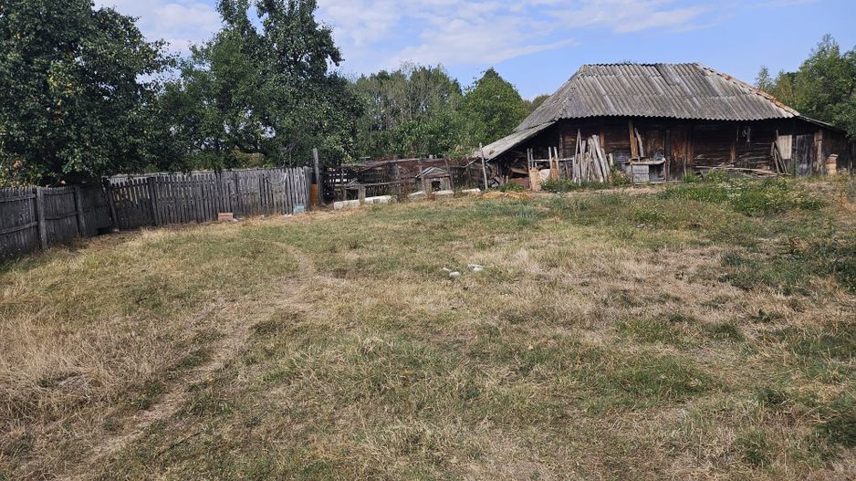 Vanzare teren pentru casa, Moraresti - Poză 5