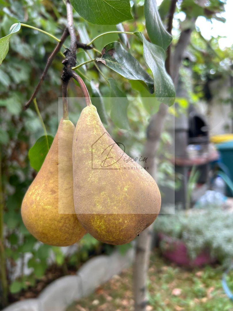 Vila de vanzare in Tunari I Gata de mutat I 4 camere I 5 parcari - Poză 48