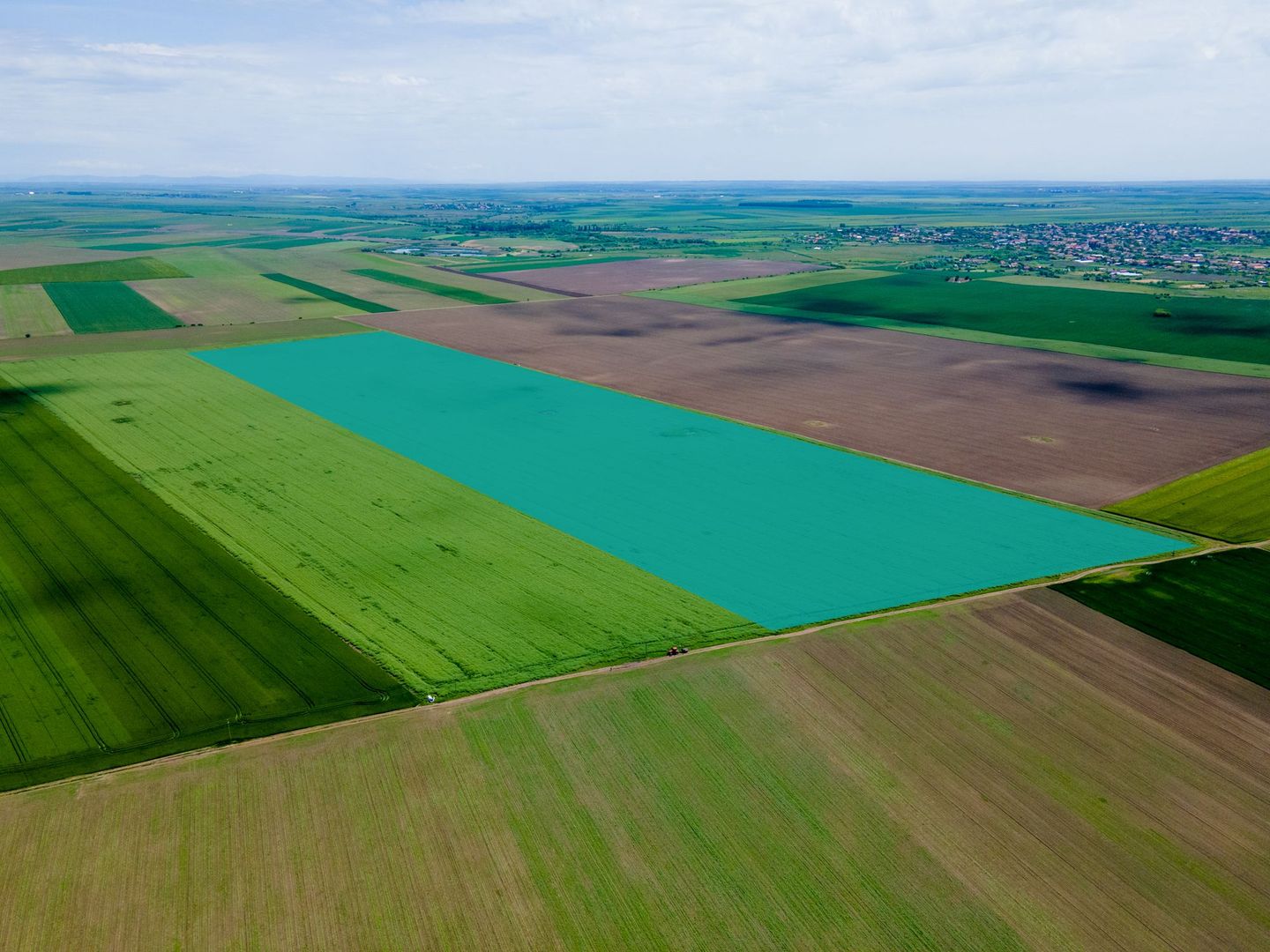 Teren de 5Ha în Satchinez. - Poză 1