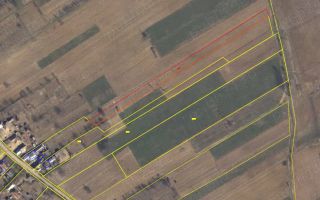 Casă cu teren 6600 mp, drum asfaltat, apă, canalizare - Schitu Duca, Iași - Poză 1