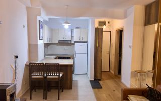 Studio modern cu terasa mare | Aviatiei - Poză 5