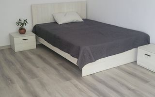 PF, Închiriez apartament 1 camera zona Nicolina - Poză 1