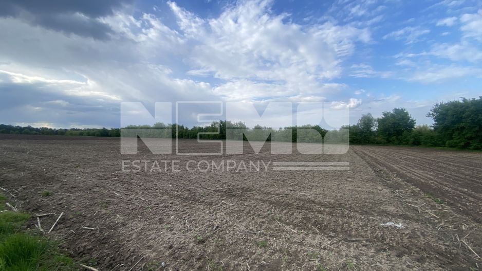 Teren Extravilan | 50 Ari | Horodnic De Jos - Poză 1