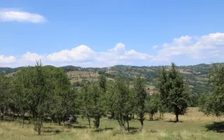 Poiana Sohodol I 5600 MP I Trei corpuri cladiri I Utilitati - Poză 39