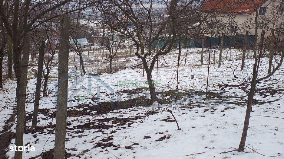 Teren intravilan 704 mp, acces asfaltat, priveliste Padurea Breazu - Poză 10