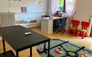 SPATIU COMERCIAL DOMENII, LOC PARCARE, CENTRALA, MOBILAT/UTILAT, CURTE - Poză 15