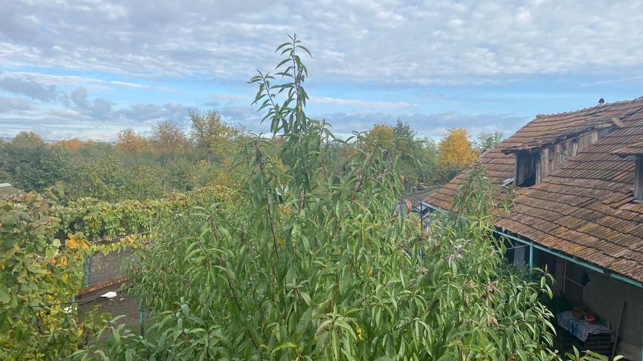 Vanzare casă cu teren generos în Săcueni, la 15 minute de Târgoviște - Poză 15