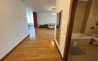 Apartament spatios zona Centrala - Poză 14