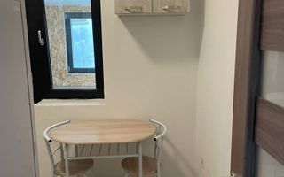 Apartament cu 1 cameră în Hlincea, Visan - parter, mobilat și utilat complet - Poză 4