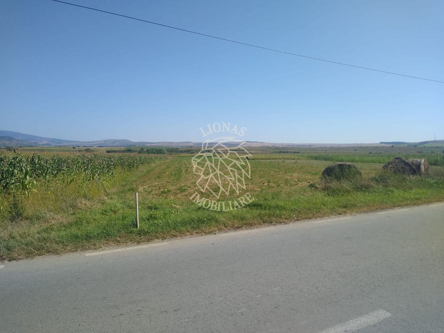 Teren 20000 mp (2 ha)-parcelabil-ideal cabane/agricultura/ferma-Jelna - Poză 2