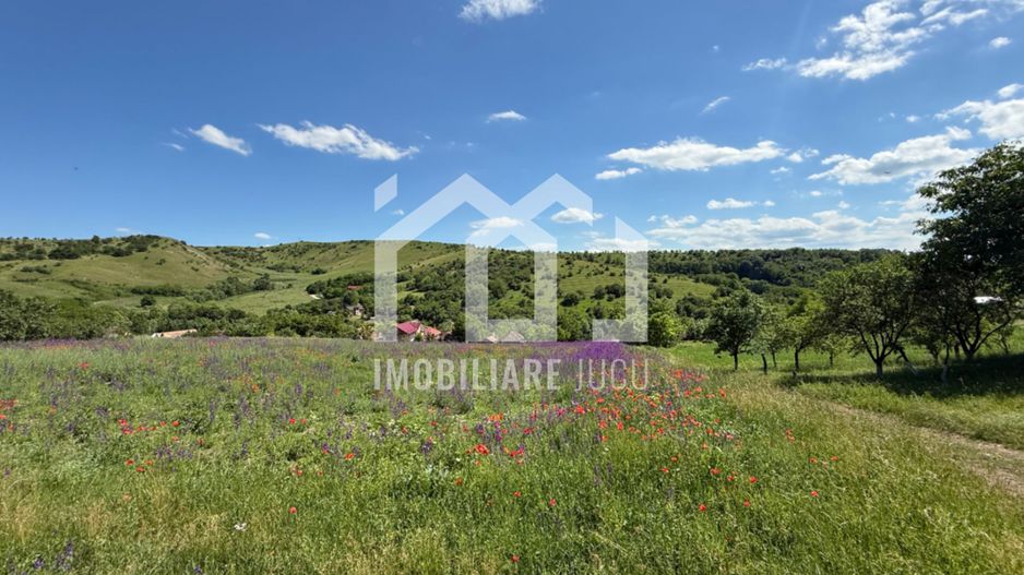 Teren intravilan de vânzare – Gădălin, com. Jucu, jud. Cluj - Poză 1
