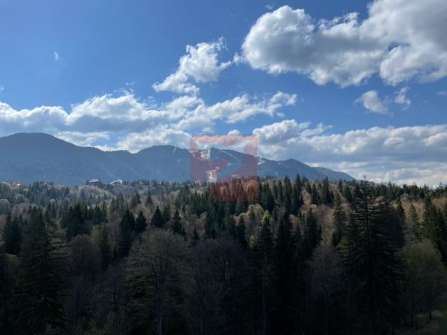 2 apartamente intr-unul singur! - Poză 4