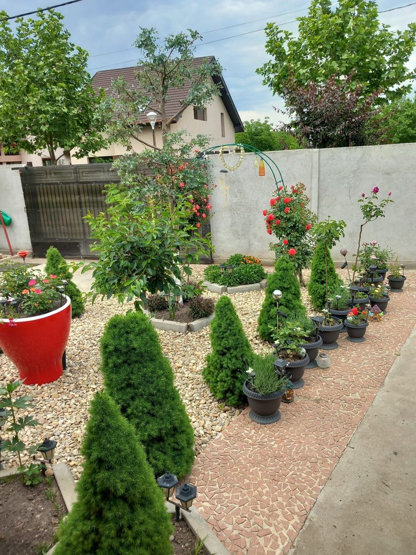 Parter cu structură pentru etaj, curte amenajată și organizare impeca - Poză 24