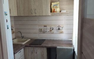 Garsoniera zona Buziasului etaj 1 - Poză 2