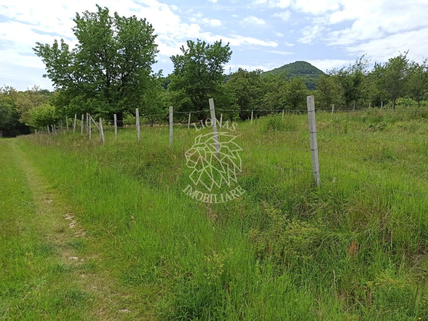 Teren 1000mp+cota drum-ideal cabana/investitie-panorama-Valea Rusului - Poză 3