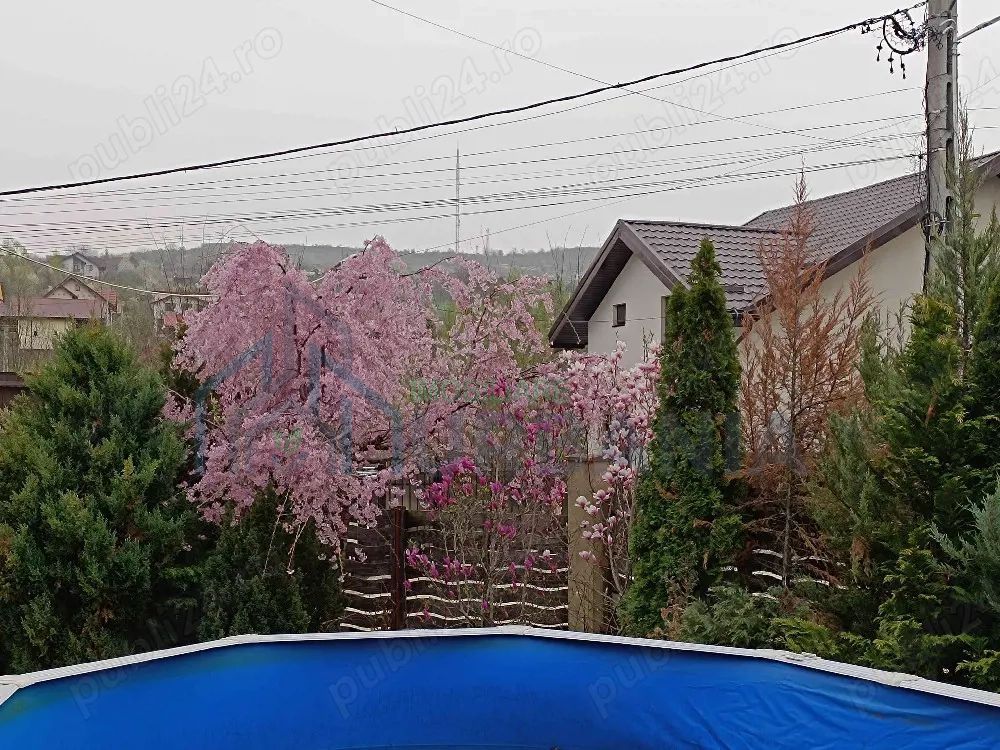 vilă Bârnova, Bucium, Saună, Piscină - Poză 3