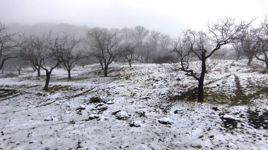 3 Parcele de teren 500 mp si 900 mp cu utilitati-Valea Ghinzii - Poză 2