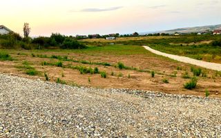 Teren Panoramic Superb, Paleu, Intravilan, 600-685mp - Poză 2