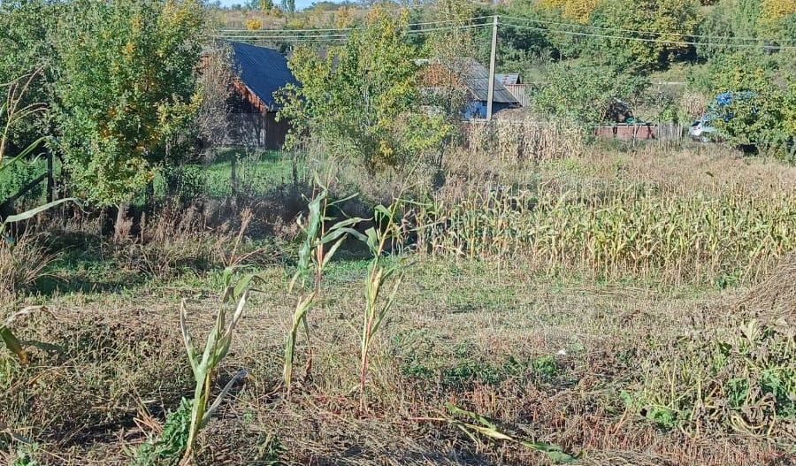 Teren intravilan Horodniceni/Suceava - Poză 4